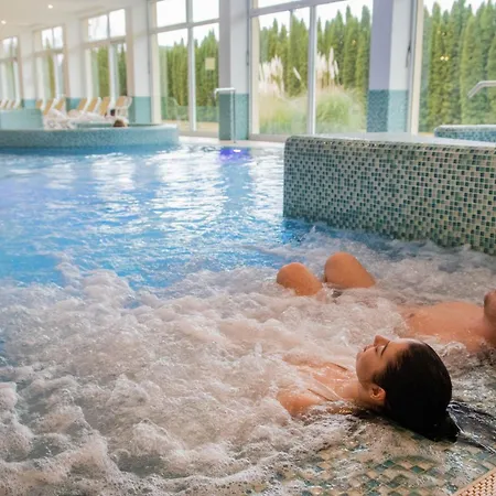 Hotel Két Korona Konferencia és Wellness Balatonszarszo