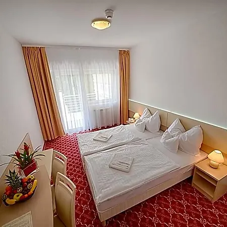 Ket Korona Konferencia Es Wellness Hotel 4*